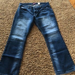 Cinch boot cut jeans